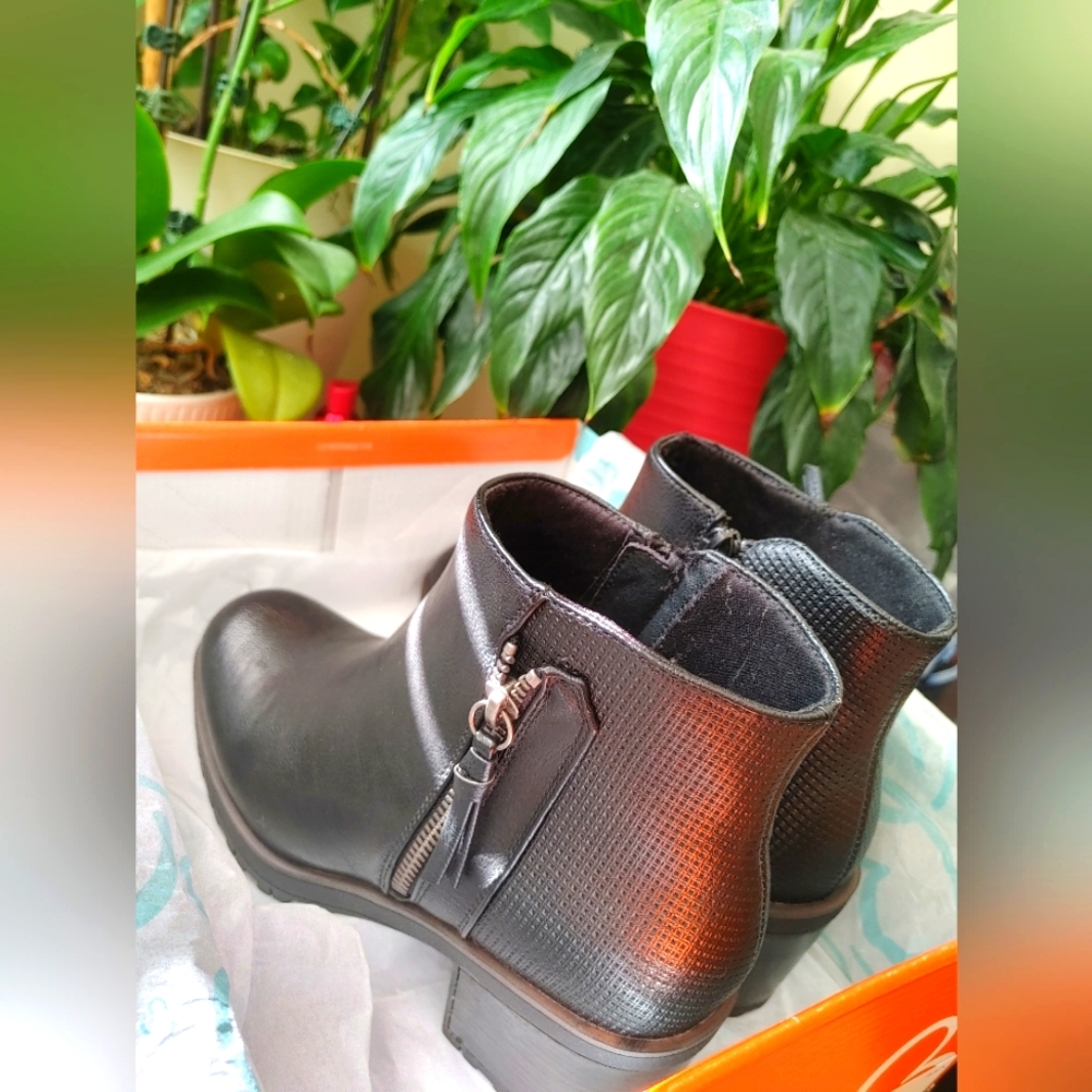 Ankle Boots